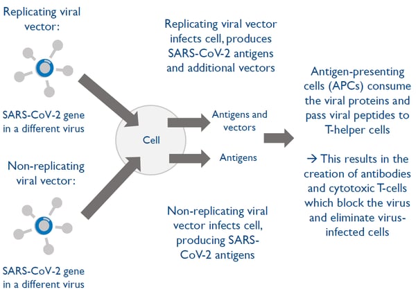 Finding the right vaccine technology